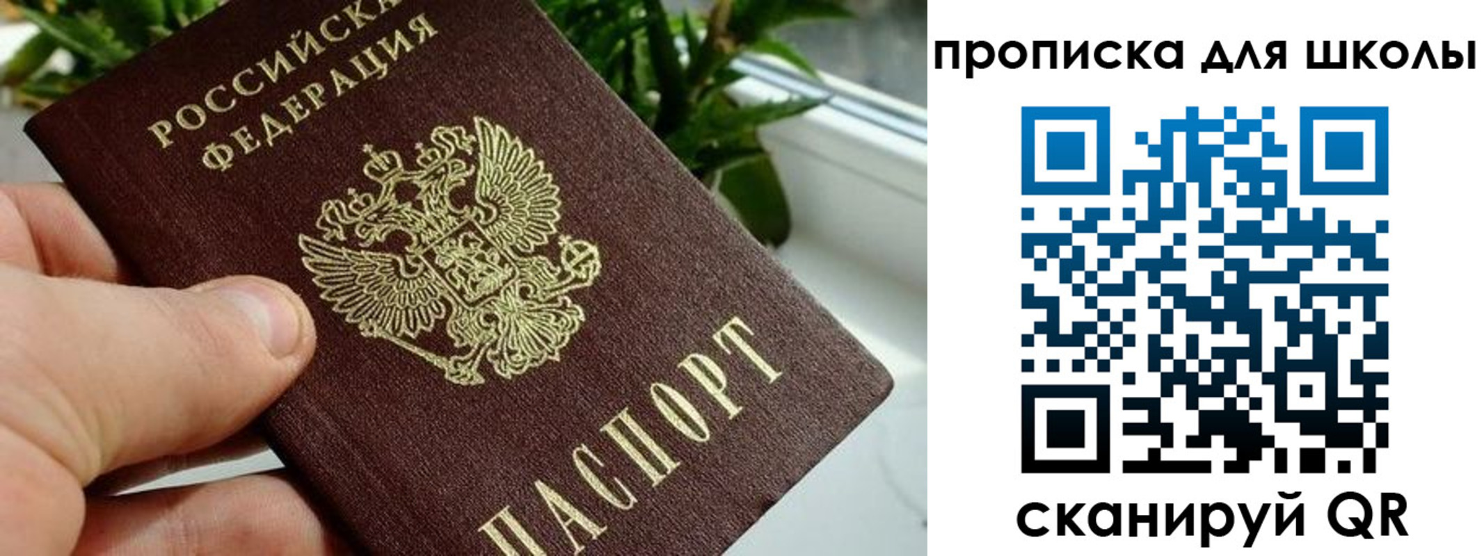 регистрация для дет. сада в Кандалакше
